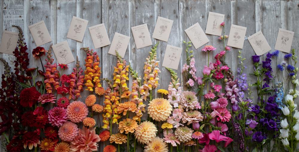 New floret flower varieties